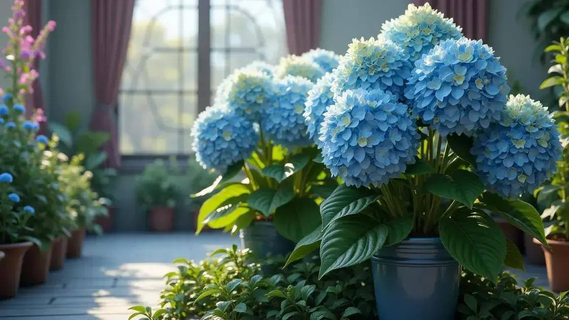 Designed by Freepik: How to Care for Hydrangea Plants in Pot: 5 Essential Tips for Success