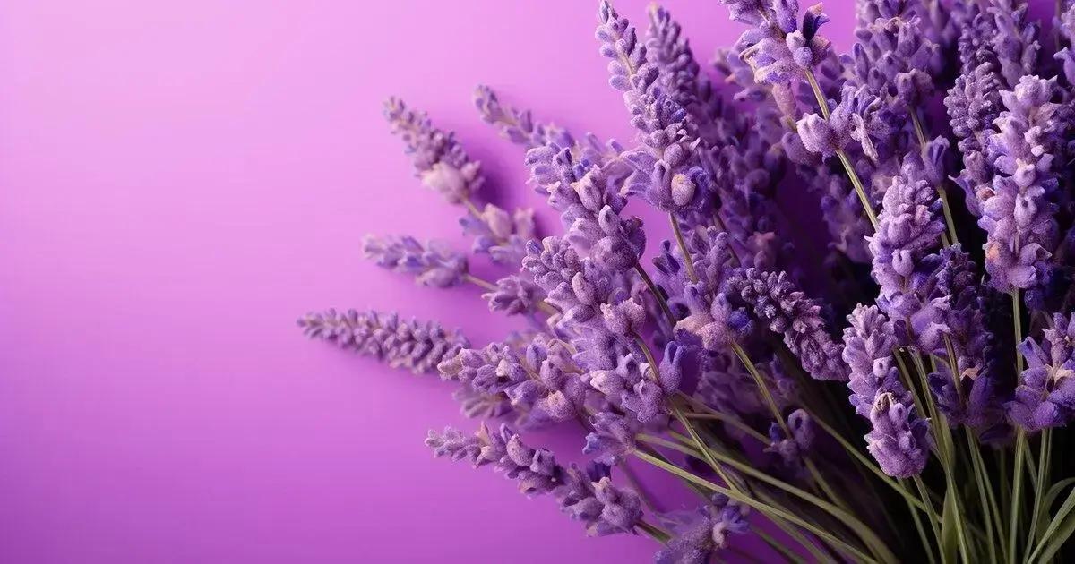 Tips on protecting lavender from frost